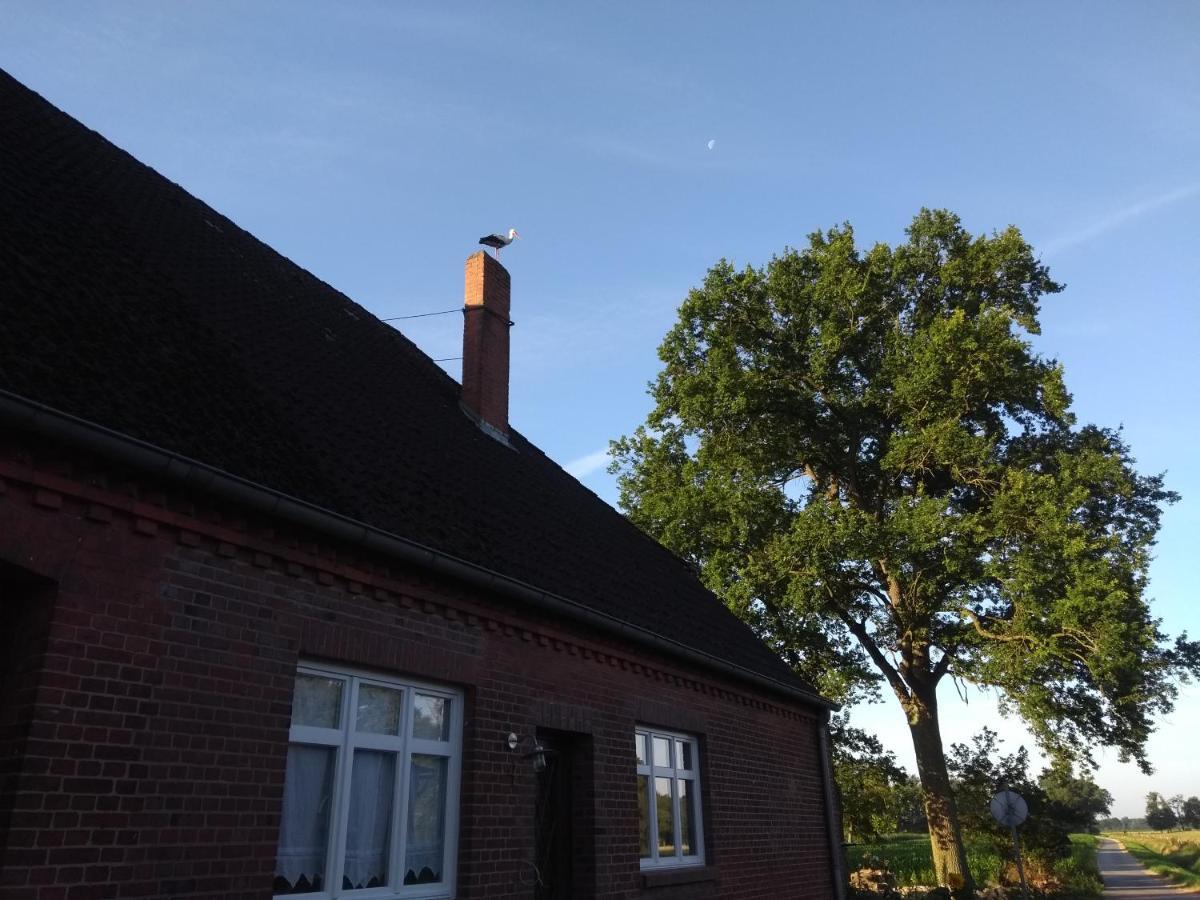 Hütte Krötenhof